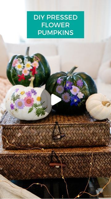 Christina Dennis on Instagram: "🌸DIY Pressed Flower Pumpkins🌸 All you need to make this DIY sweet pumpkin decor are pumpkins (real or faux), Mod Podge, pressed flowers (make them yourself or buy them on Amazon), and a brush. Apply some Mod Podge to the front of your pumpkin, then arrange some pressed flowers on top. Seal the flowers with more Mod Podge, let dry, and enjoy! These are cute as coffee table decor, or they'd also look gorgeous on a Fall porch. Let me know if you'll try this easy DIY!

#thediymommy #halloweendecor #diyprojects #falldiy #falldecorations #falldiydecor" Flower Pumpkins, Pumpkin Flower, Sweet Pumpkin, Coffee Table Decor, Pumpkin Decor, Fall Halloween Crafts, Instagram Diy, Fall Porch, Fall Decor Diy