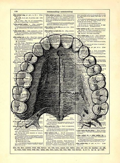 Pin de Mari López en BE.SATTVIC | Arte dental, Anatomía dental, Escuela de higiene dental Dental Wallpaper, Human Mouth, Dentist Art, Dental Posters, Dental Aesthetics, Teeth Art, Dental Anatomy, Dental Office Decor, Aesthetic Dentistry