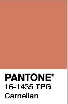 “Carnelian”. Carnelian Color Palette, Pantone Color Chart, Pantone Swatches, Colour Trends, Pantone Colors, Color Club, Persimmon, Purple Aesthetic, Color Box