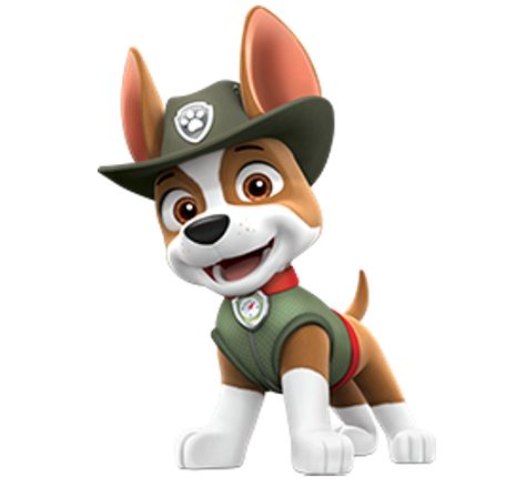 Tracker | PAW Patrol Wiki | Fandom Paw Patrol Tracker, Baby Walrus, Imprimibles Paw Patrol, Paw Patrol Cartoon, Crew Team, Baby Dolphins, Paw Patrol Characters, Paw Patrol Pups, Baby Whale