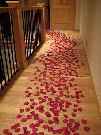 freeze dried rose petals to make beautiful aisles at your wedding Candlelit Room, Rose Petal Candle, Wedding Aisles, Pay Check, Silk Rose Petals, Romantic Ideas, Realistic Rose, Red Rose Petals, Wedding Room