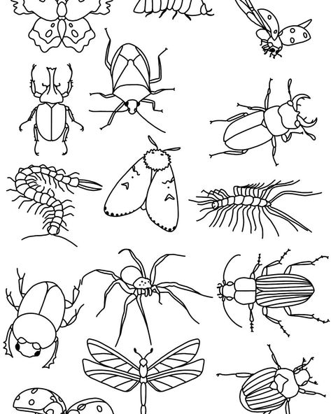 Some stick and poke flash sheets by Meridian Fox! Weapons are $30; animals, insects, etc. are $40; and the last sheet is $50! Come by sometime soon and get some new art on you and your friends! 🌔❤️🫡 #artist #artsy #beckleywv #safespace #bodymodification #tattooartist #beauty #tattoo #bodyart #foryoupage #stickandpoke #handpoke #handpokedtattoo Hand Poke Flash, Bug Flash Tattoo, Stick And Poke Flash, Poked Tattoo, Stick Poke, Tattoo Sheets, Stick Poke Tattoo, Flash Sheets, Beauty Tattoo