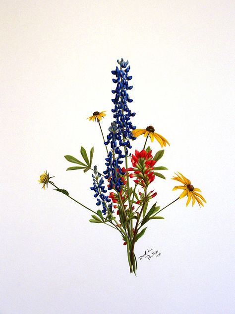 David Phillips Art Wildflower Drawings, DavidPhillipsArt.com, Wildflower Drawings, Bluebonnet Tattoo, Wildflower Drawing, Wildflower Tattoo, Bouquet Tattoo, Indian Paintbrush, Arrow Tattoo, Blue Bonnets, Arte Floral