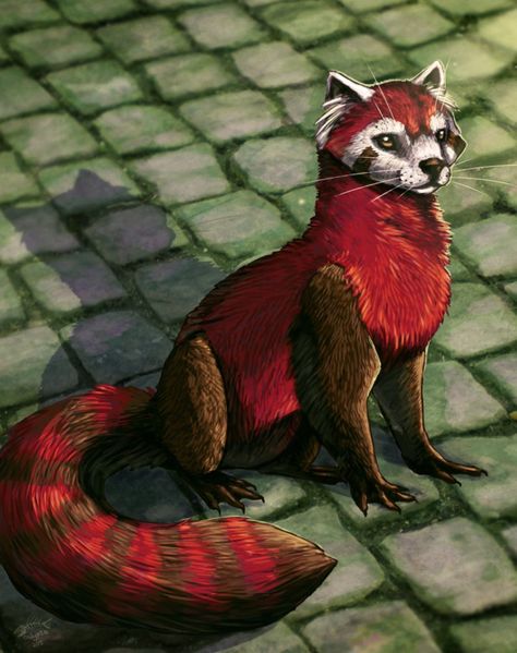 Fire Ferret, Dnd Stories, I Like Him, Creepy Art, Like Animals, Red Panda, Legend Of Korra, Aang, Anime Poses Reference