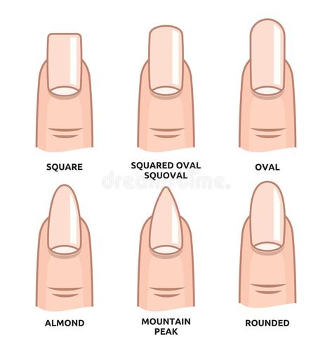 Different Short Nail Shapes, Gel Nails Shape, Nagel Stamping, Body Massage Spa, Patrick Nagel, Different Nail Shapes, Types Of Shapes, Nail Type, How To Grow Nails