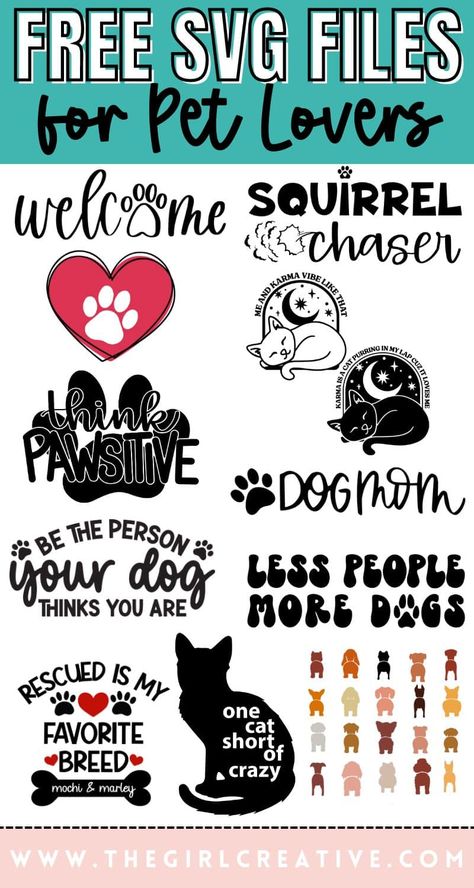 Diy Dog Bandana, Handmade Dog Accessories, Cricut Svg Files Free, Cricut Birthday, Free Svgs, Easter Stickers, Dog Projects, Dog Crafts, Free Homeschool