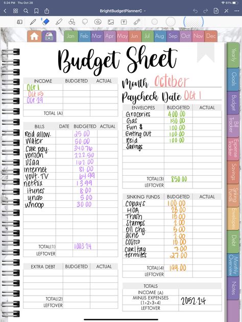 Cute Budget Planner Ideas, Budget Journal Template, Procreate Budget Template, Finance Digital Planner, Free Budget Planner For Ipad, Budgeting Template For Ipad, Diy Budget Planner Ideas, Visual Budget Board, Budget Goodnotes Free