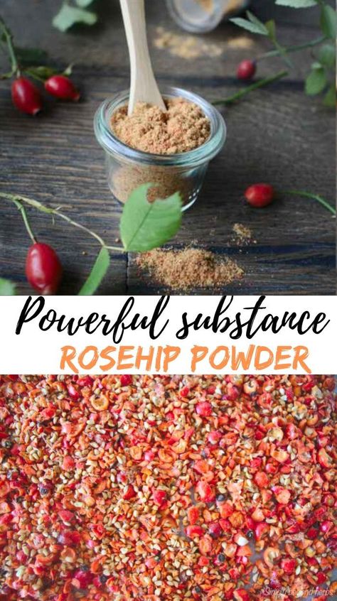 Rosehip Recipes, Wild Food Foraging, Săpunuri Handmade, Foraging Recipes, Foraged Food, Herbal Recipes, Natural Healing Remedies, Healing Plants, Herbal Healing