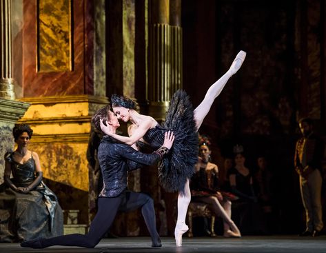 Swan Lake review – the Royal Ballet's spellbinder leaves you weeping Marianela Nunez, Swan Lake Ballet, The Royal Opera House, The Royal Ballet, Contemporary Dance Costumes, Royal Opera House, Alvin Ailey, Bolshoi Ballet, Black Tutu