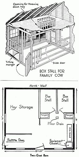 Cow Stable Ideas, Cow Pen Ideas, Cow Stall Ideas, Small Cow Shed Design, Cow Farm Ideas, Shelter For Cows, Goat Barn Layout, Small Dairy Farm Design, Cow Stall