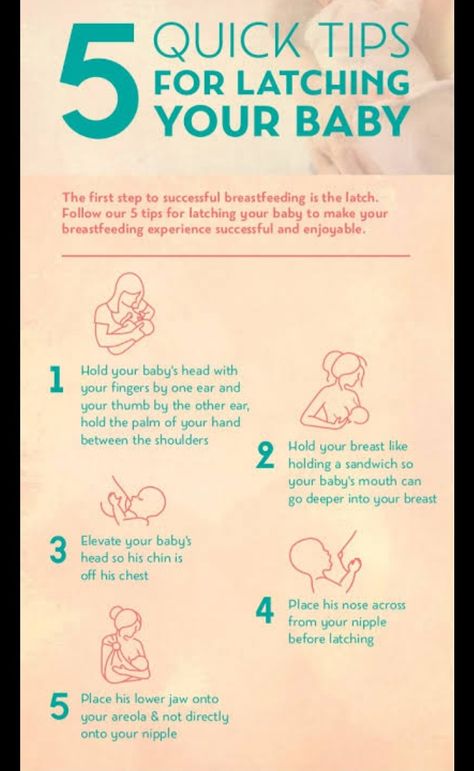 Tips for baby care, tips for baby latching, tips for baby potty training Latching Tips, Baby Potty Training, Breastfeeding Latch, Infant Potty Training, Baby Potty, Baby Facts, Lactation Consultant, Baby Care Tips, Breastfeeding And Pumping