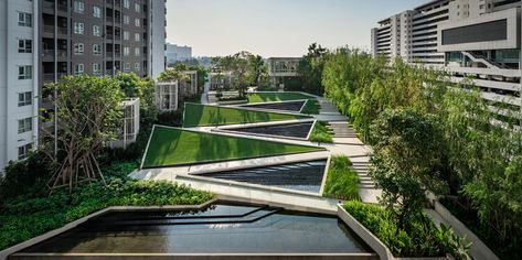 Lawn Striping, Urban Hotels, Sky Pool, Architectural Orders, Le Meridien, Sense Of Sight, Stunning Hotels, Landscape Landscape, Zhengzhou