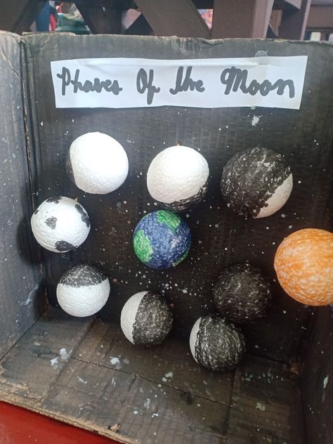 #phasesofthemoon science project Phases Of The Moon Project, Moon Projects, Diy School, Phases Of The Moon, Science Project, School Project, Science Projects, Moon Phases, School Projects