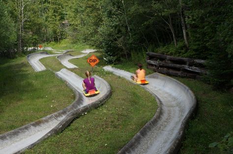 Alpine Slide Alpine Slide, Summer Hours, Take It Slow, Let It Rip, Plan Your Trip, Blur, Bucket List