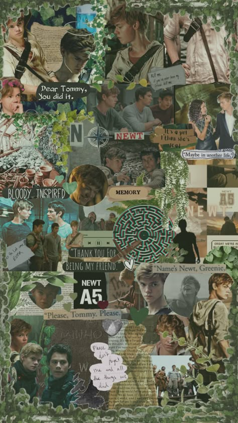 Dylan O'brien Maze Runner, Maze Runer, Maze Runner Thomas, Quote Collage, Maze Runner Trilogy, Young Leonardo Dicaprio, Newt Maze Runner, Maze Runner Movie, Teen Wolf Dylan