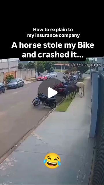 Funny Horse Quotes Hilarious, Horse Memes Funny Hilarious, Motorcycle Humor, Horse Quotes Funny, Funny Horse Videos, Funny Horse Pictures, Horse Jokes, Trick Riding, How To Explain