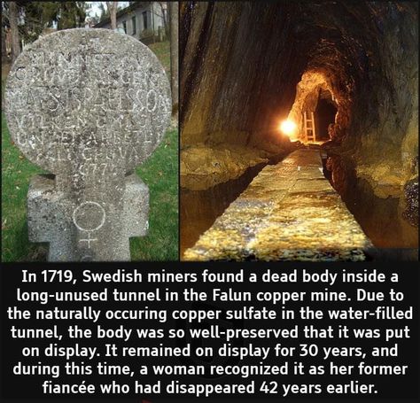 Weird And Creepy, World History Facts, What The Fact, Ancient History Facts, Cool Science Facts, Creepy Facts, Bizarre Facts, History Facts Interesting, Wow Facts