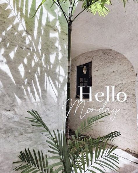 Hello Monday 🗓️ Weekend Aesthetic, Instagram Post Idea, Hello Monday, Hello Weekend, Girly Phone Cases, Monday Quotes, Real Estate Quotes, Post Quotes, April 22