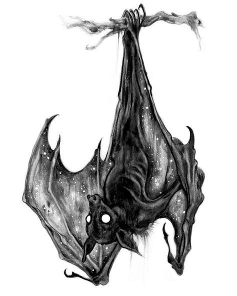 Bat Sketch, Bats Tattoo Design, Bat Tattoo, Bat Art, 4 Tattoo, Creepy Tattoos, Spooky Tattoos, Geniale Tattoos, Gothic Tattoo