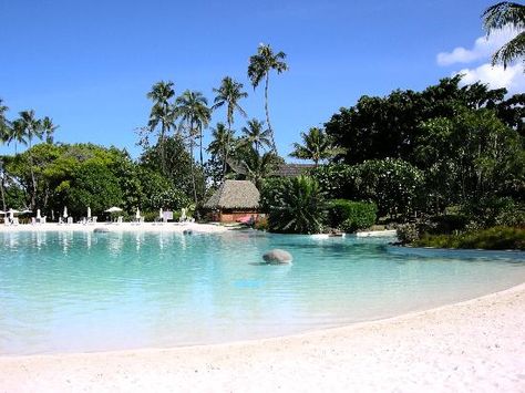 Sand bottom pool Man Made Beach, Sand Pool, Egyptian Inspired Jewelry, Outdoor Design Ideas, Beach Backyard, Egyptian Inspired, Pool Picture, Pool Cabana, Backyard Beach