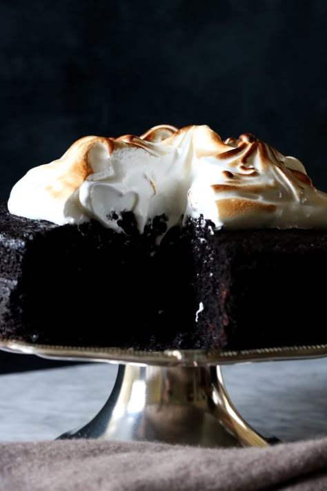 Chocolate Rye Stout Cake | Displaced Housewife Baking With Chocolate, Everyday Cakes, Marshmallow Meringue, Chocolate Loaf, Cake Book, Dark Chocolate Cakes, A Piece Of Cake, Chocolate Cakes, Piece Of Cake