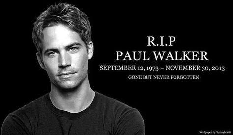 Paul walker Paul Walker Body, Paul Walker Tattoo, Paul Walker Wallpaper, Paul Walker Movies, Paul Walker Tribute, Walker Wallpaper, Actor Paul Walker, Paul Walker Pictures, Rip Paul Walker