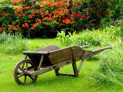 Wooden Wheelbarrow, Antique Wagon, Wheelbarrow Planter, Wooden Cart, Monet's Garden, Ticket Booth, Wheelbarrows, Farm Paintings, Wooden Wagon