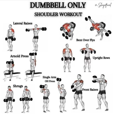 Dumbbell Workout Plan, Dumbbell Back Workout, Workout Chest, Chest Workout Routine, Dumbbell Shoulder, Dumbbell Workouts, Workout Gym Routine, Workout Program Gym, Dumbell Workout