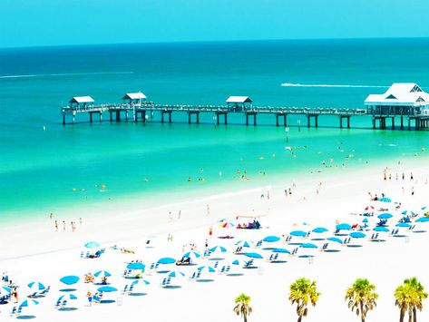 The 10 Best West Coast Florida Beaches Clearwater Beach Florida, Florida Travel Guide, Gulf Coast Florida, Clearwater Florida, Visit Florida, Cocoa Beach, Clearwater Beach, Destin Beach, Florida Vacation