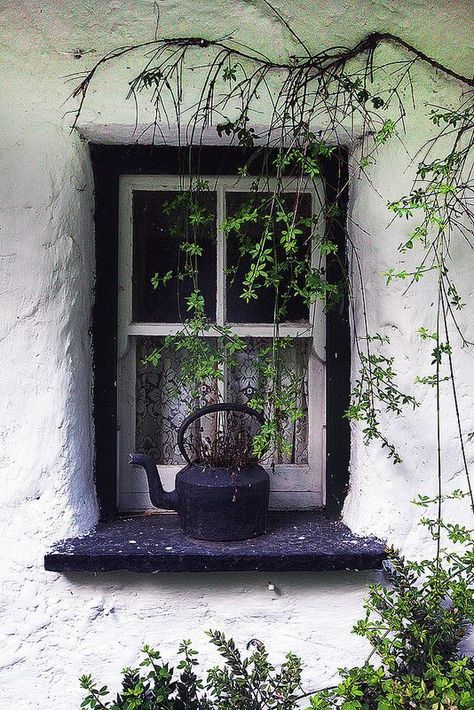 Cottage Windows, Witch Cottage, Cottage Aesthetic, Irish Cottage, Cob House, Irish Eyes, Beautiful Windows, Old Windows, Cozy Cottage