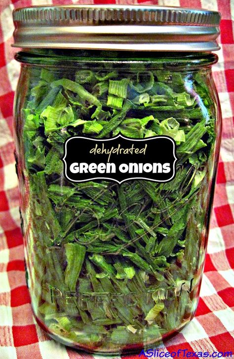 A Slice of Texas : DEHYDRATED GREEN ONIONS Food Dehydration, Dehydrated Vegetables, Canning Food Preservation, Canned Food Storage, Long Term Food Storage, Dehydrated Fruit, Dehydrated Food, Dehydrator Recipes, Canned Food