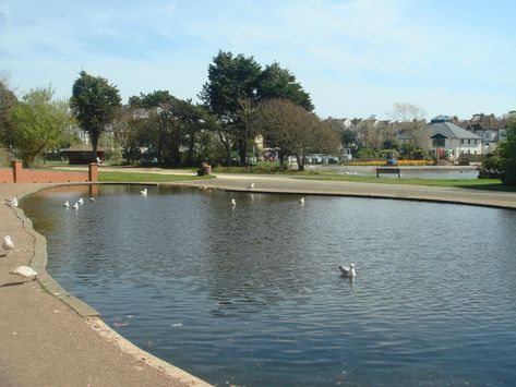 Egerton Park (Bexhill-on-Sea) - 2020 All You Need to Know Before You Go (with Photos) - Bexhill-on-Sea, England | Tripadvisor Bexhill On Sea England, Adventure Golf, Manor Garden, Picnic Spot, Outdoor Gym, Romantic Places, Adventure Park, East Sussex, Salt And Water