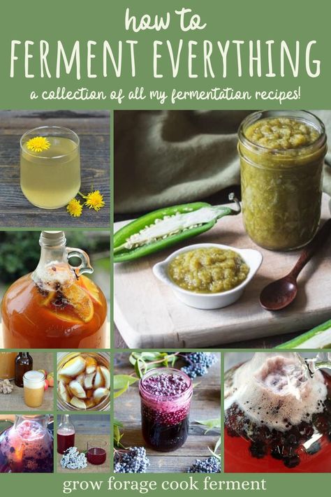 Ever wanted to learn how to ferment EVERYTHING? Here's a collection of all my fermentation recipes! From mead, fermented sodas, fermented fruits, vegetables, raw honey, and much more! Honey Fermenting, Ferment Vegetables, Fermenting Foods, Recipes For Gut Health, Fermenting Recipes, Fermented Fruit, Fermented Vegetables Recipes, Fermenting Vegetables, Fermented Food Recipes