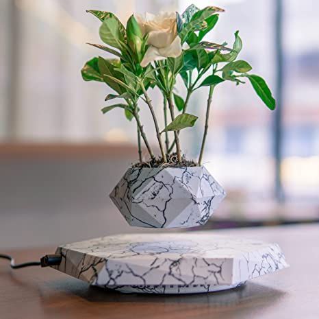 HCNT Levitation Air Bonsai Pot, Magnetic Levitating Mini Rotating Flower Pot Planters Suspension Floating Succulents Pot Sky-Garden Plant Potted for Home Living Room Office Desk Decor(Marble Color) Levitating Plant, Magnetic Levitation, Floating Plants, Nordic Modern, Bonsai Pots, Marble Colors, Succulent Pots, Hanging Planters, Customer Experience