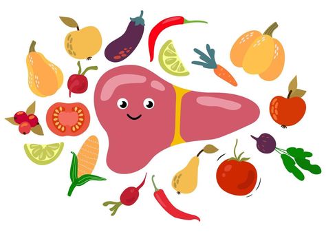 Love Your Liver Awareness Month. Healthy liver, proper nutrition. White background, isolate. Vector illustration. Liver Illustration, Liver Cleanse Juice, Healthy Hacks, Health Facts Fitness, Kidney Detox, Live Picture, Pregnancy Health, Healthy Liver, Proper Nutrition