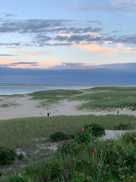 East Coast Summer Vacation, Summer East Coast, Coastal Granddaughter Summer, Cod Aesthetic, Cape Cod Aesthetic, East Coast Aesthetic, East Coast Summer, New England Summer, Cape Cod Beach