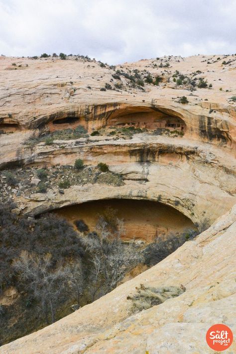 Butler Wash Cliff Dwellings | South of Blanding | The Salt Project | Things to do in Utah with kids Animal Architecture, Utah With Kids, Utah Hiking, Things To Do In Utah, Utah National Parks Road Trip, Utah Camping, Cliff Dwellings, Calamity Jane, Utah Adventures