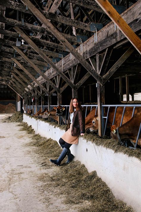 England Houses, Abandoned Farmhouse, Foto Cowgirl, Cattle Barn, Big Farm, Abandoned Cities, Farm Business, Farm Photography, Farm Cow