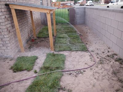 Dog shade, but better ground for resting and add misting system. Dog Shade Ideas, Dog Shade Diy, Covered Area For Dogs To Potty, Dog Lean To Shelter, Dog Pergola Diy, Diy Dog Shade, Shaded Area For Dogs, Rain Shelter For Dogs, Lean To For Dogs