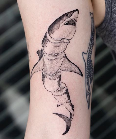 Oozy Tattoo, Tattoo Artist Quotes, Film Tattoo, Shark Tattoo Ideas, Hai Tattoo, Korean Tattoo Artist, Surreal Tattoo, Korean Tattoos, Shark Tattoo