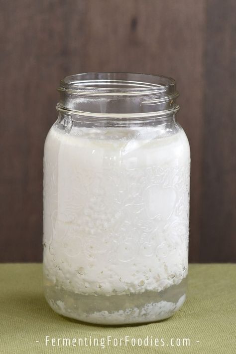 What to Do About Over Cultured and Separating Milk Kefir - Fermenting for Foodies Kefir Milk Recipes, Kefir Cottage Cheese, Water Kefir Soda, Kefir Dessert Recipes, Kefir Pudding, Kefir Dessert, Milk Kefir Recipes, Kefir Benefits, Milk Kefir Grains