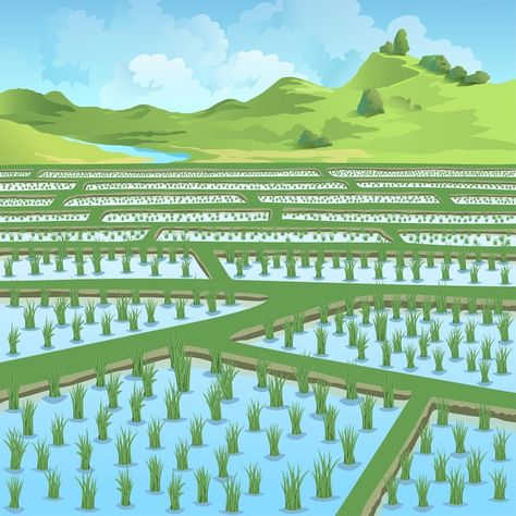 Paddy Field Drawing, Rice Field Drawing, Palace Background, Mountains And River, Village Scene Drawing, Free Green Screen Backgrounds, Farm Cartoon, Cartoon Maker, Forest Cartoon