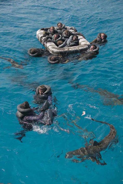 Be Ready To Defend Yourselves | 9 Shipwreck Survival Skills You Should Know About Uss Indianapolis, Shark Attacks, Interesting History, Us History, Historical Events, The Ship, Military History, World History, Historical Photos