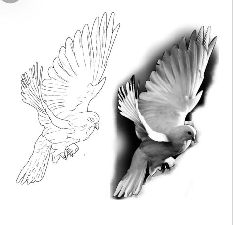 Dove Tattoo Stencil, Realism Stencil, Dove Stencil, Arm Tattoos Lettering, Tattoo Wings, Animal Stencils, Bio Organic Tattoo, Dove Tattoo Design, Best Neck Tattoos