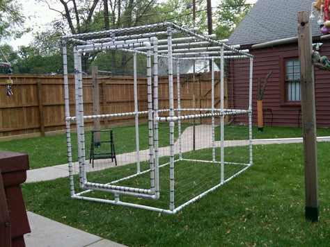 IMG00214-20100516-1902  This is great idea for out doors and cheaper Pvc Aviary, Bird Aviary For Sale, Pipe Fence, Diy Bird Cage, Diy Bird Toys, Bird House Kits, Bird Aviary, Parrot Cage, Diy Birds