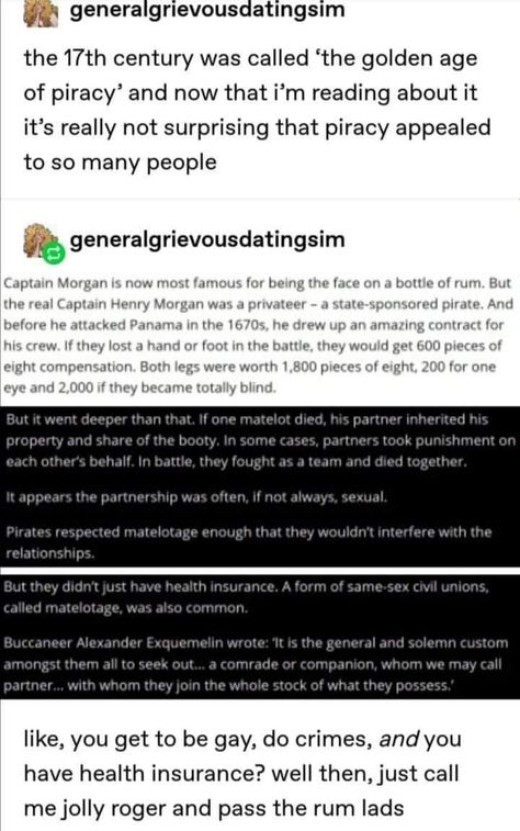 Hilarious Tumblr Posts, Pirate History, Golden Age Of Piracy, History Major, Character Prompts, Writing Inspiration Tips, Power Moves, Funny Tumblr, Black Sails