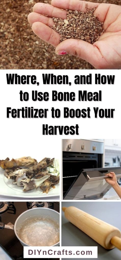 Bone Meal For Plants, Project Runaway, Beef Marrow Bones, Diy Fertilizer, How To Make Fish, Soil Amendments, Garden Homestead, Planting Potatoes, Garden Rocks