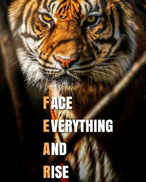 😈 Underestimate Quotes, Bull Quotes, Lion Motivation, Tiger Quotes, Kalki Avatar, Life Quotes Relationships, Face Everything And Rise, Apj Quotes, Lion Quotes