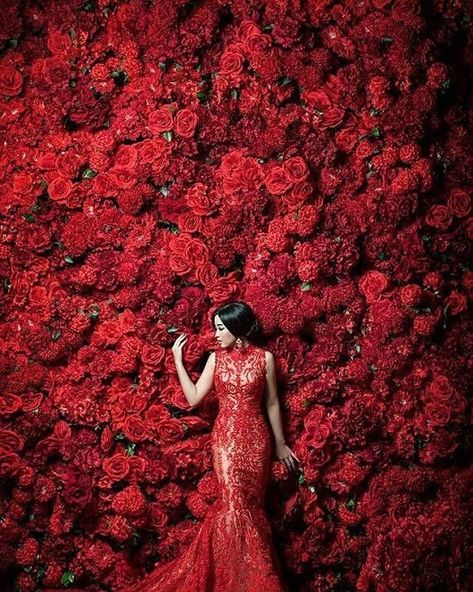 Floral Wall Installation, Shooting Inspiration, Beauty Portraits, Red Images, Red Rose Wedding, Colour Photography, Red Room, Rose Arrangements, Rose Wall