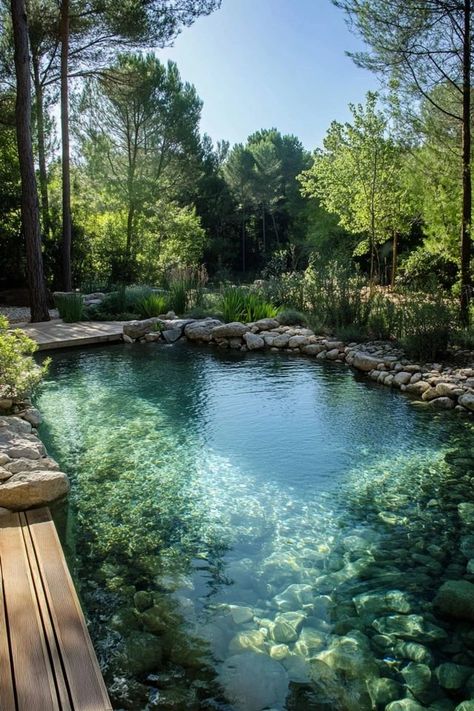 Swimming Pool Pond, Natural Swimming Ponds, Natural Pond, Swimming Pond, Natural Swimming Pools, Natural Swimming Pool, Dream Life House, Pond Design, Dream Pools